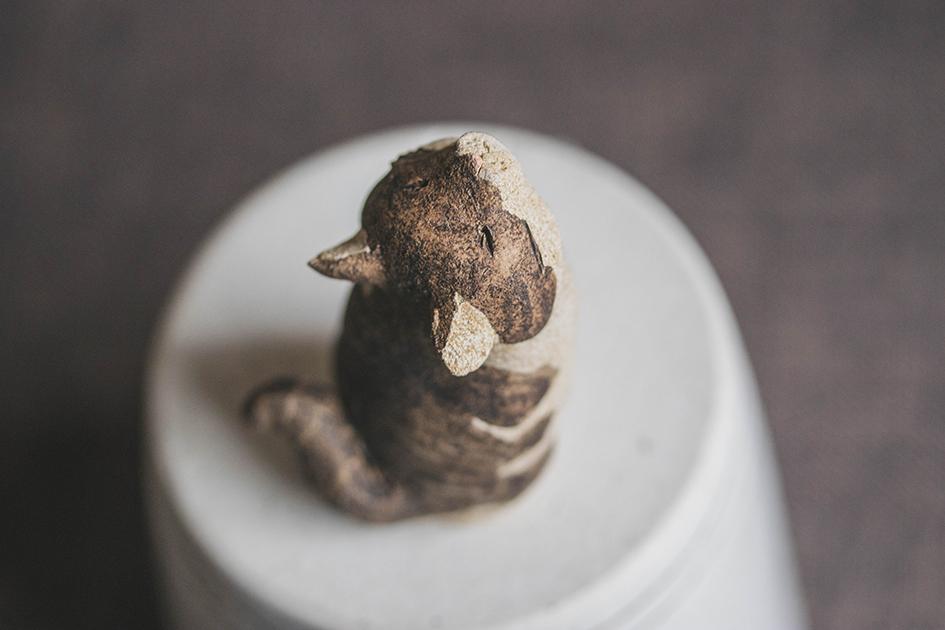 仰ぐ猫【猫_986】 | 8枚目