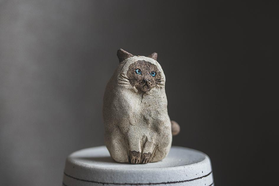 見つめるシャム猫【猫_984】 | 10枚目