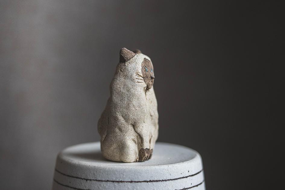 見つめるシャム猫【猫_984】 | 3枚目