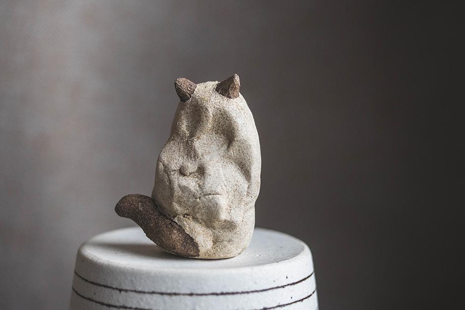 見つめるシャム猫【猫_984】 | 4枚目