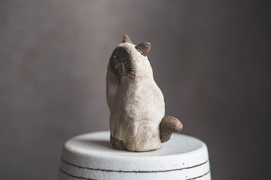 見つめるシャム猫【猫_984】 | 5枚目