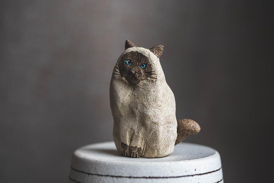 見つめるシャム猫【猫_984】 | 6枚目