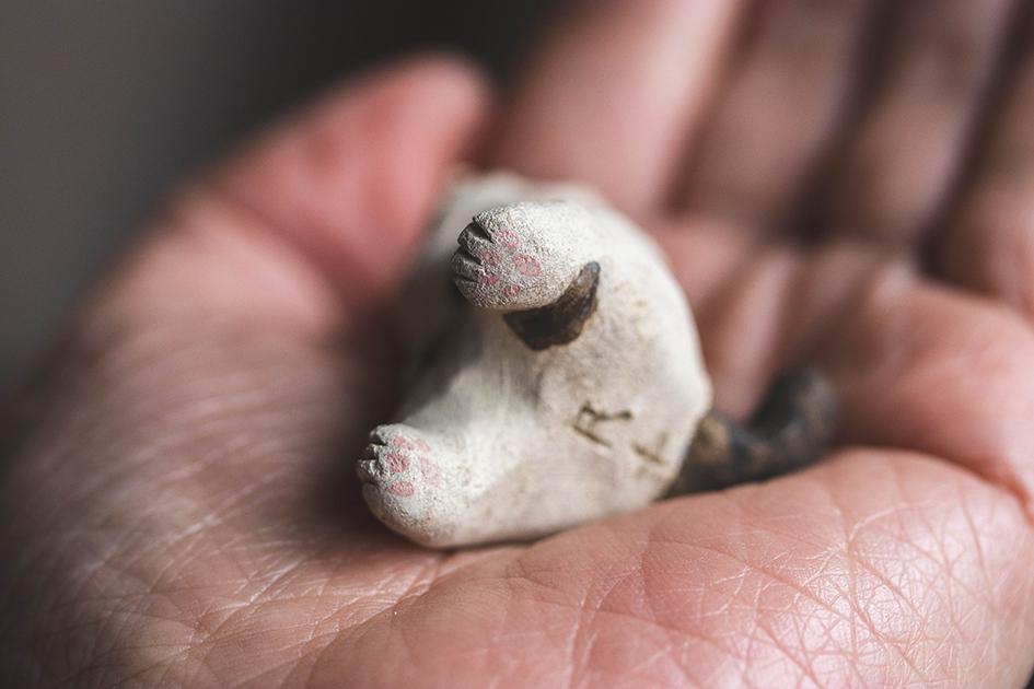 しあわせ猫【猫_981】 | 7枚目