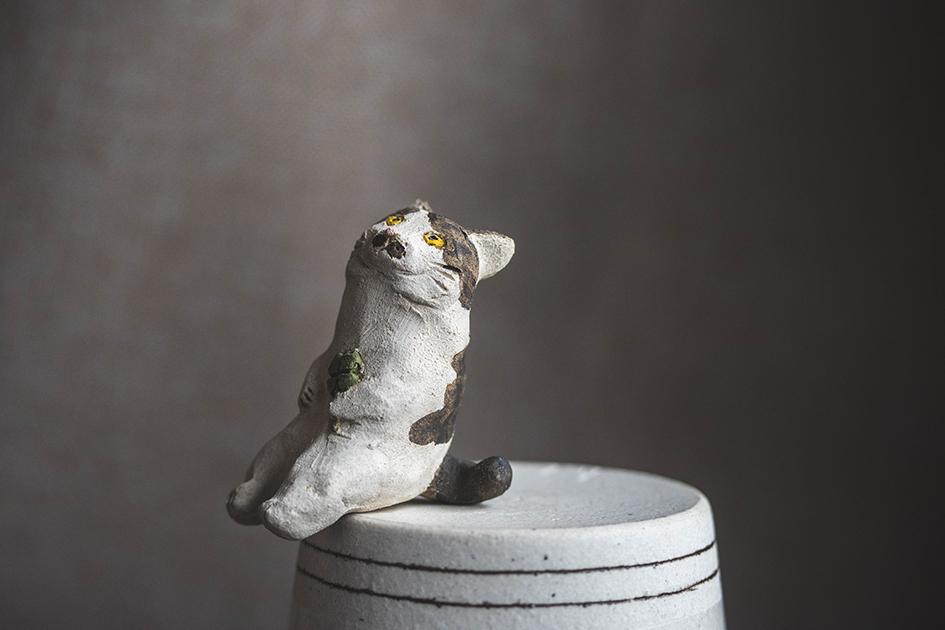 しあわせ猫【猫_981】 | 9枚目