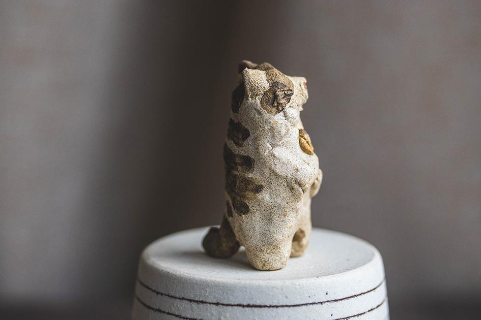 お魚うれしい【猫_975】 | 4枚目