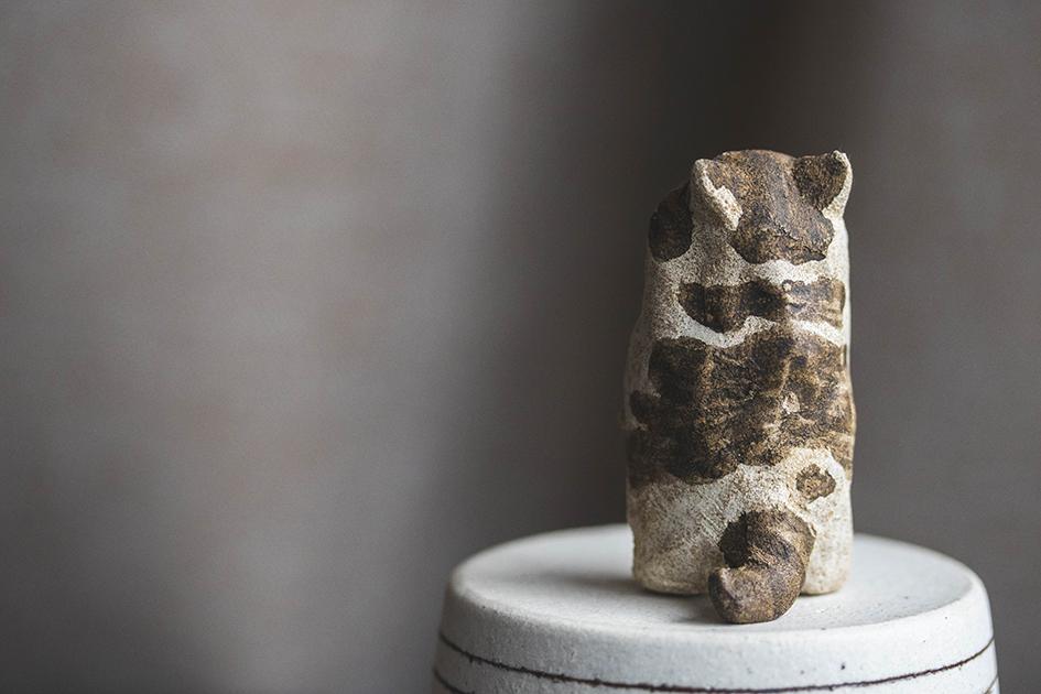 お魚うれしい【猫_975】 | 5枚目