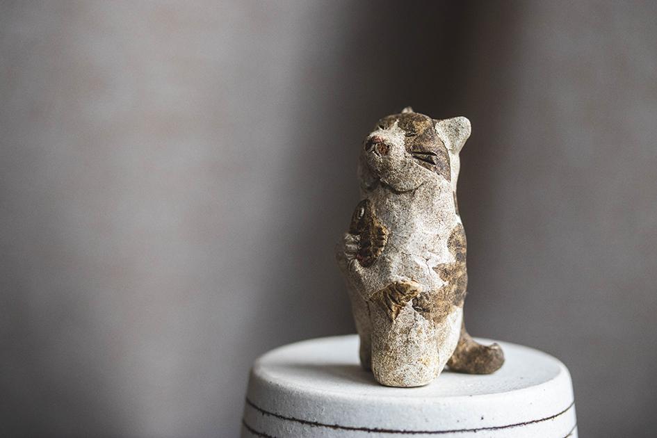 お魚うれしい【猫_975】 | 6枚目