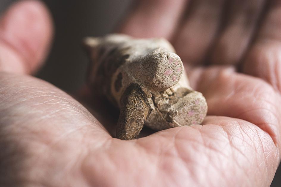 お魚うれしい【猫_975】 | 7枚目