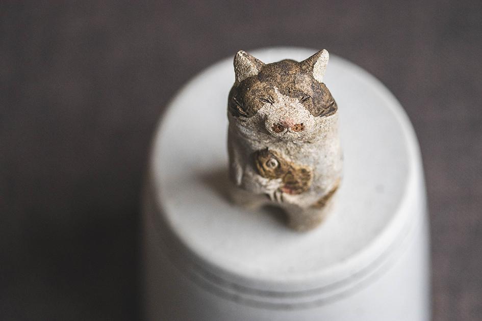 お魚うれしい【猫_975】 | 10枚目