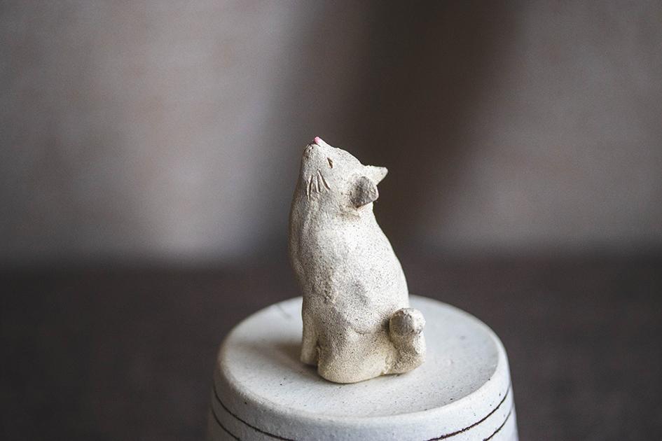 仰ぐ白猫【猫_971】 | 2枚目