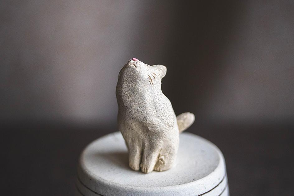 仰ぐ白猫【猫_971】 | 3枚目