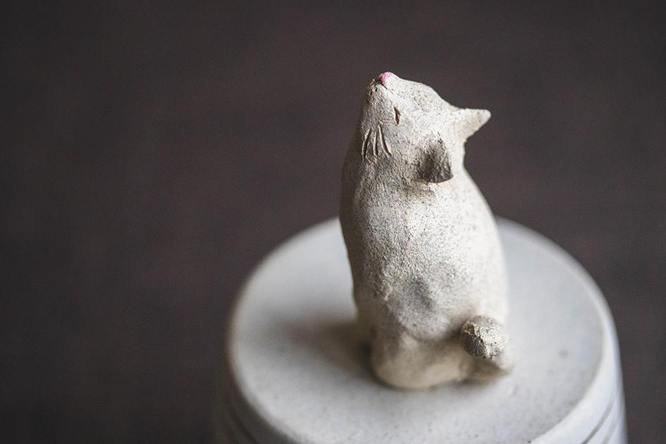 仰ぐ白猫【猫_971】 | 4枚目