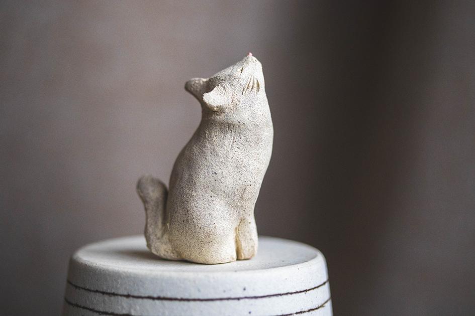 仰ぐ白猫【猫_971】 | 5枚目