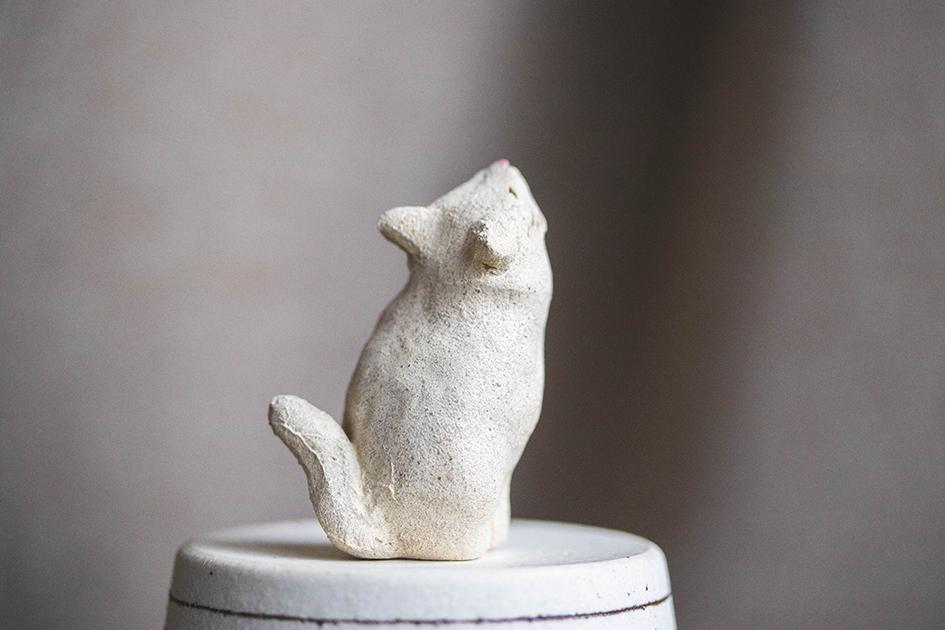 仰ぐ白猫【猫_971】 | 6枚目