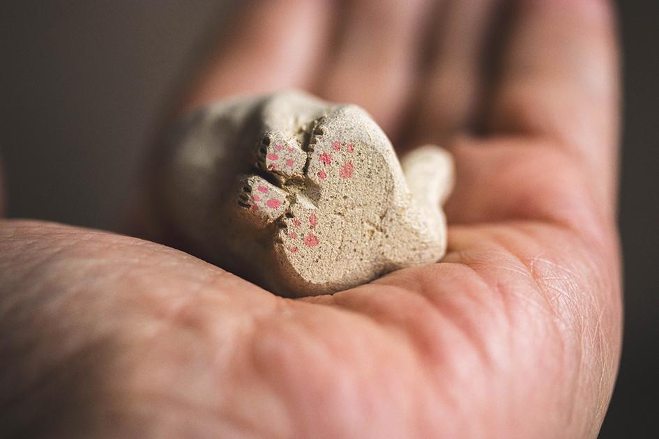 仰ぐ白猫【猫_971】 | 7枚目