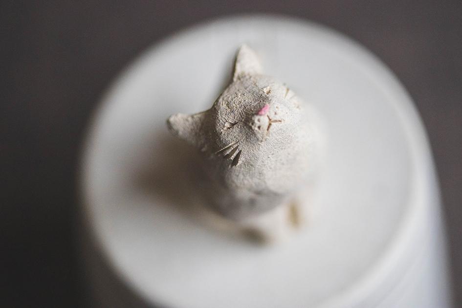 仰ぐ白猫【猫_971】 | 8枚目