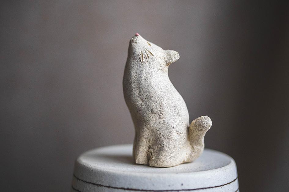 仰ぐ白猫【猫_971】 | 9枚目