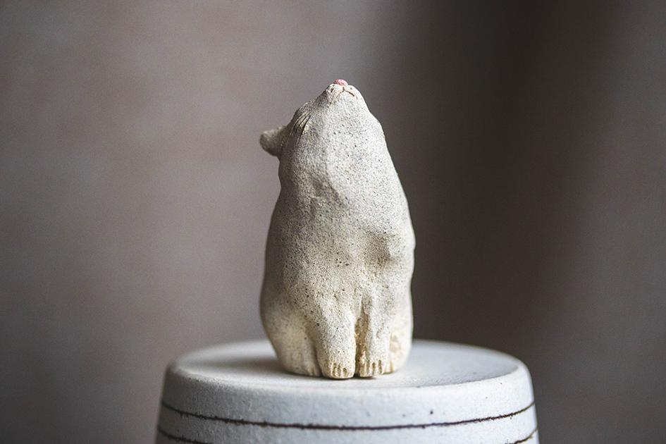 仰ぐ白猫【猫_971】 | 10枚目