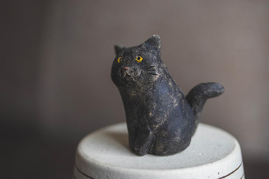 まなざし猫【猫_969】 | 5枚目