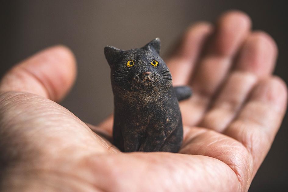 まなざし猫【猫_969】 | 8枚目