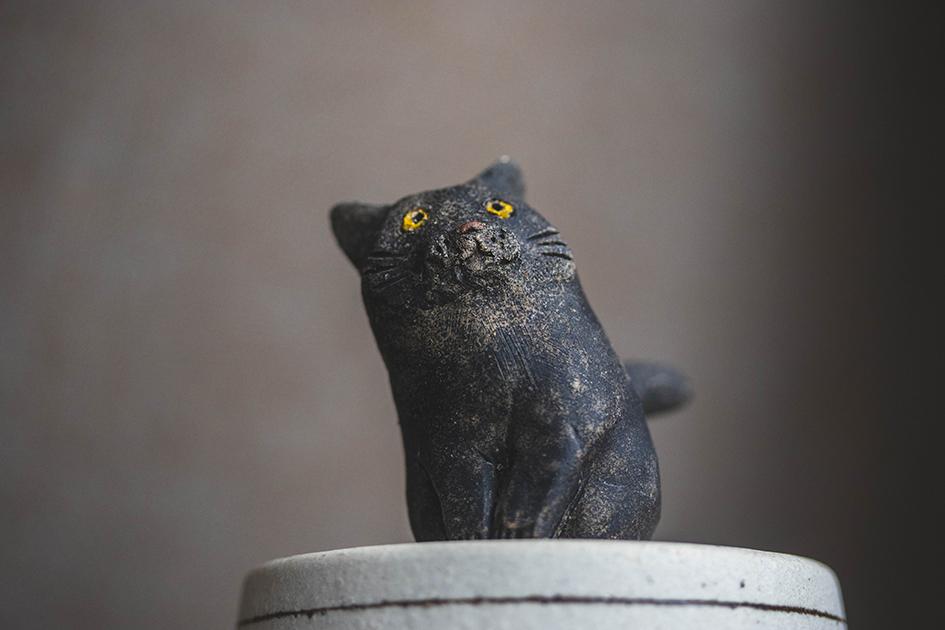 まなざし猫【猫_969】 | 9枚目