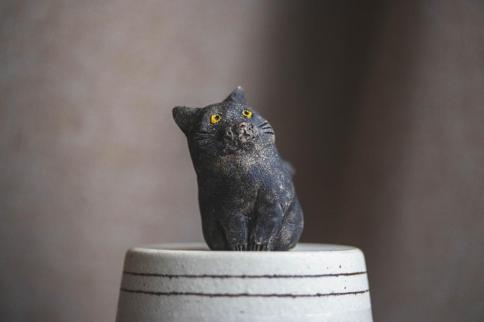 まなざし猫【猫_969】 | 10枚目