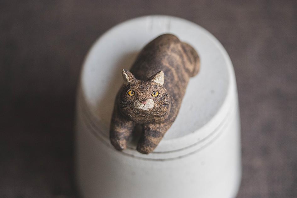 見つめる猫【猫_968】 | 2枚目