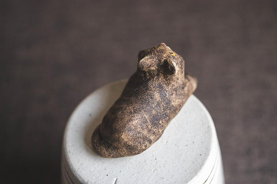 見つめる猫【猫_968】 | 4枚目