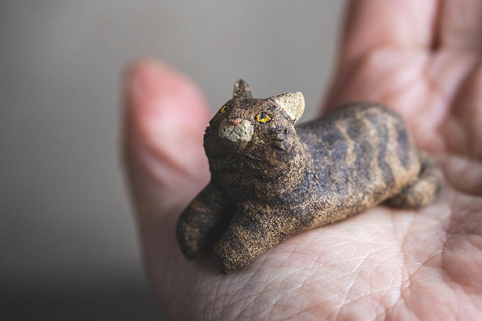 見つめる猫【猫_968】 | 5枚目