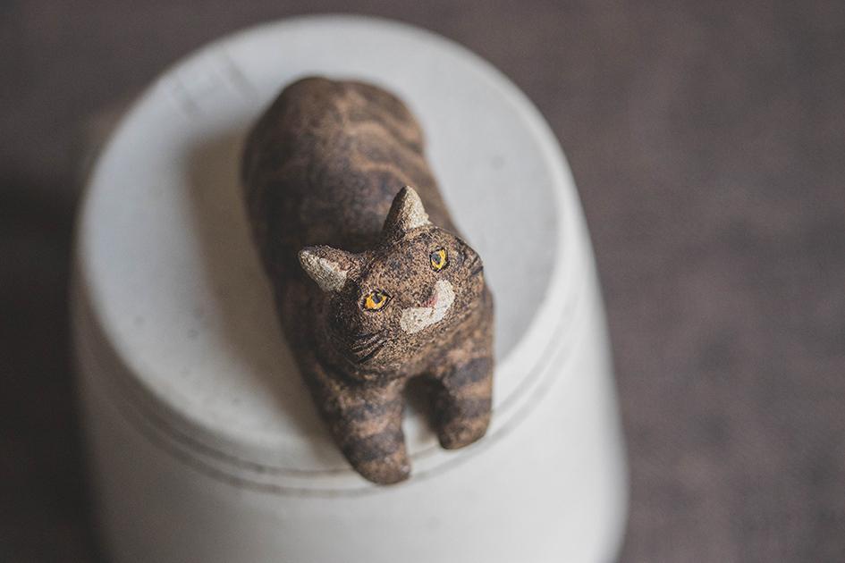 見つめる猫【猫_968】 | 6枚目