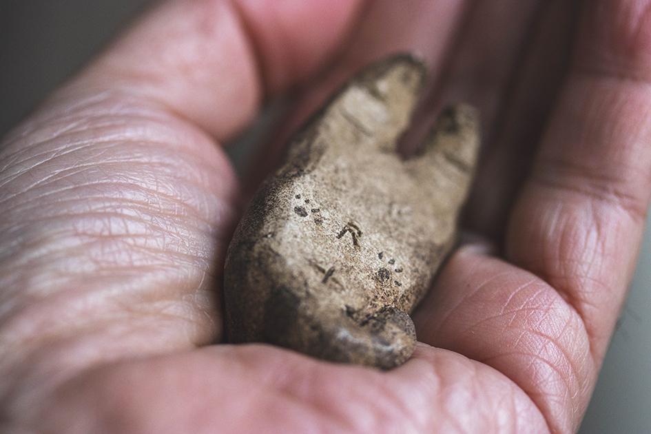 見つめる猫【猫_968】 | 7枚目