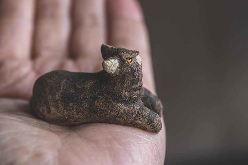 見つめる猫【猫_968】 | 8枚目