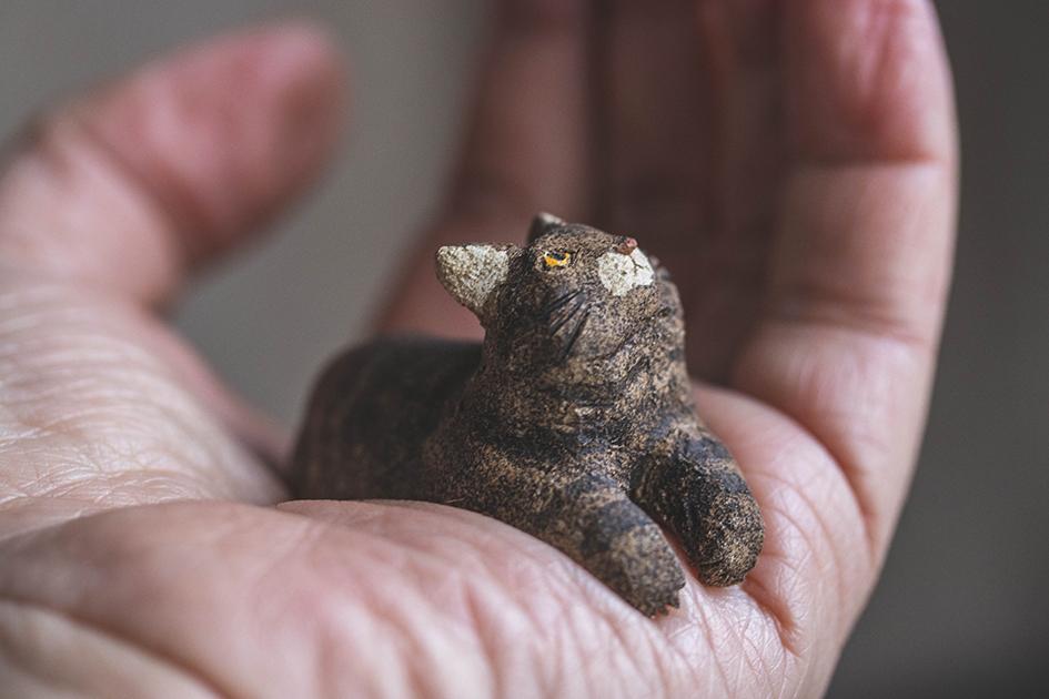 見つめる猫【猫_968】 | 10枚目