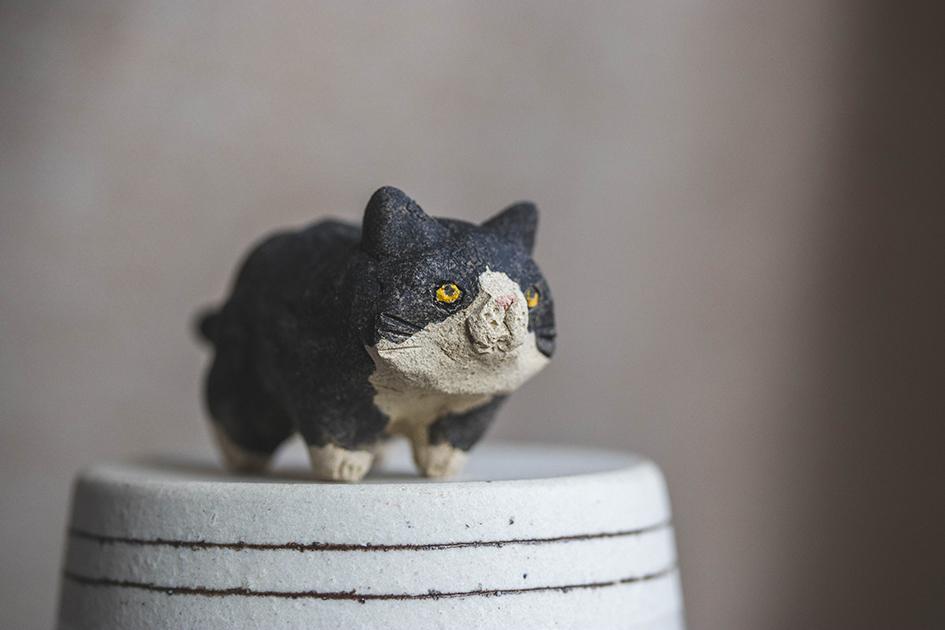 ぼんちゃん【猫_961】 | 2枚目