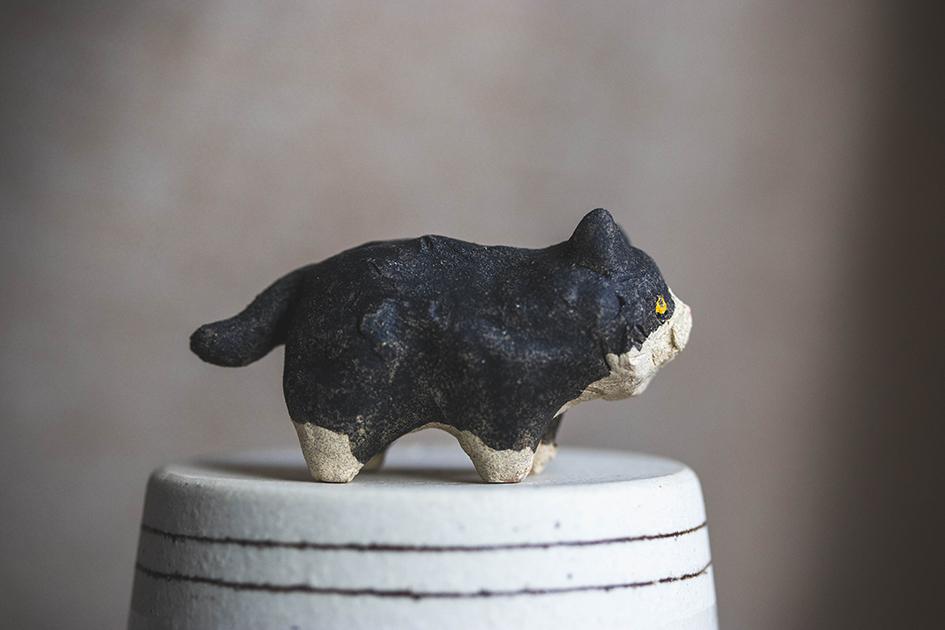 ぼんちゃん【猫_961】 | 3枚目