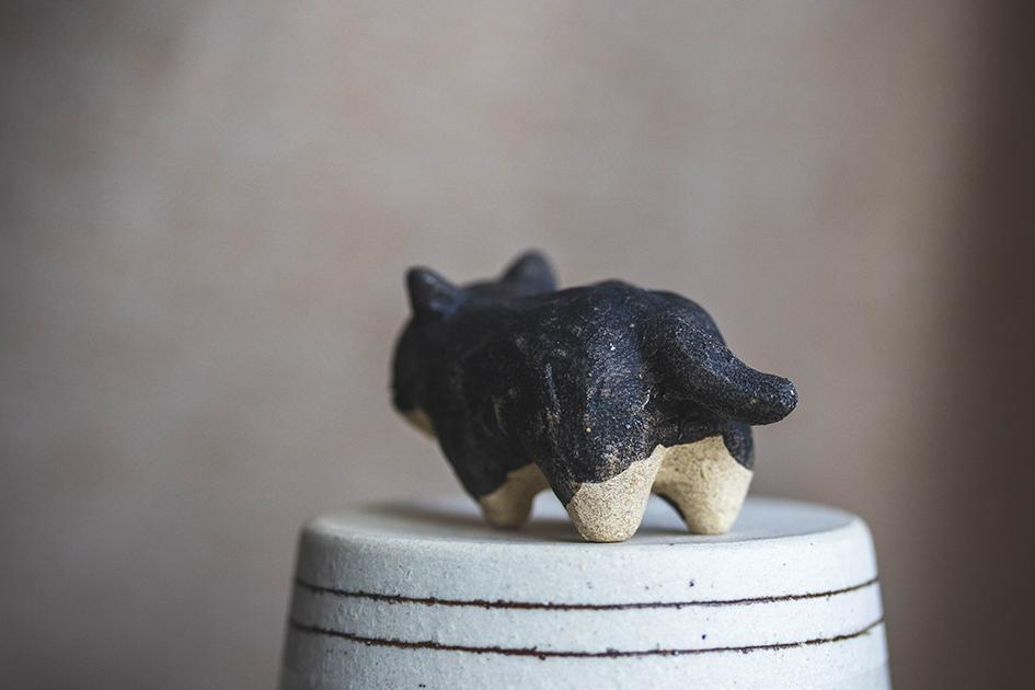 ぼんちゃん【猫_961】 | 4枚目