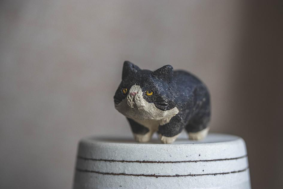 ぼんちゃん【猫_961】 | 5枚目