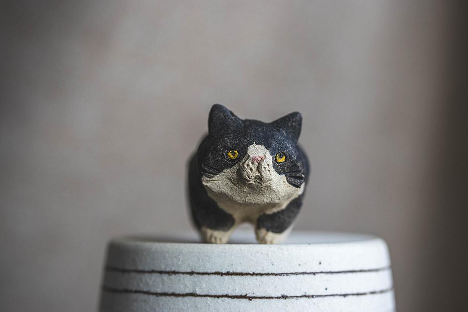 ぼんちゃん【猫_961】 | 6枚目