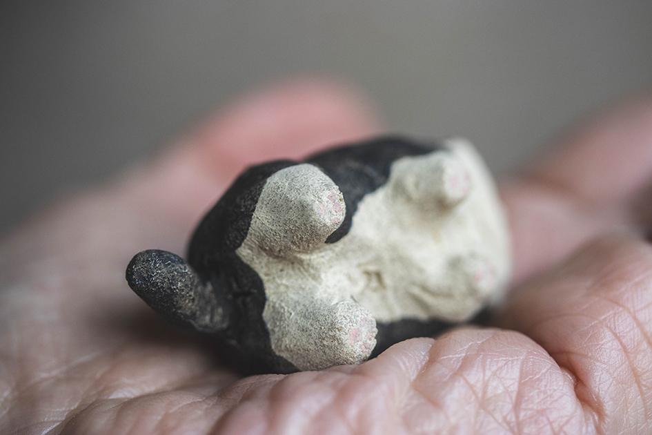 ぼんちゃん【猫_961】 | 7枚目