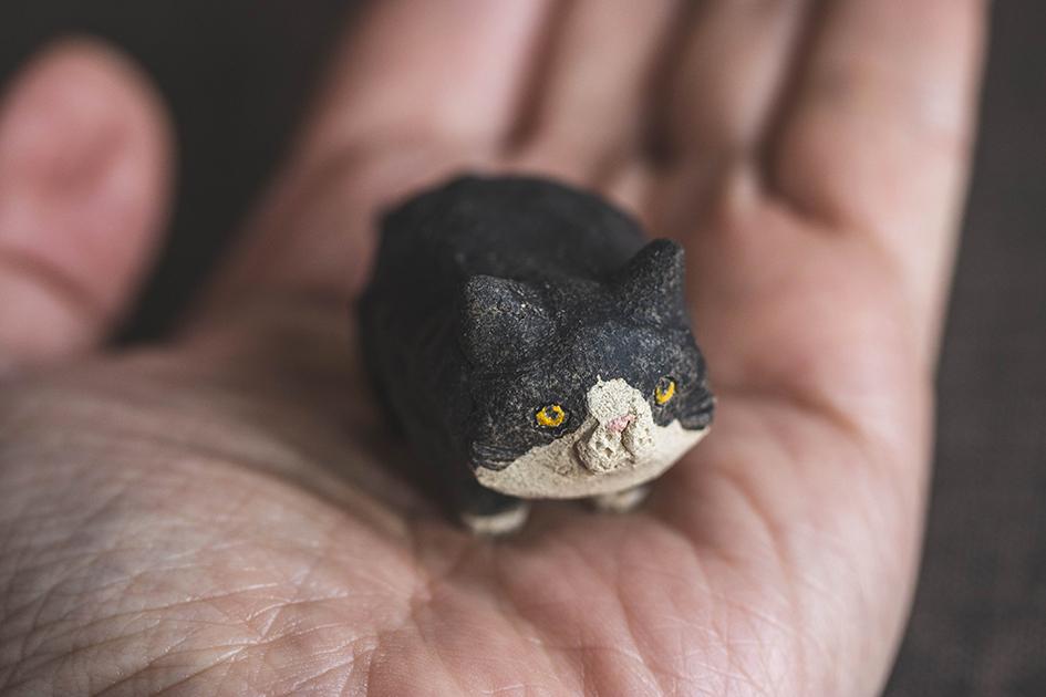 ぼんちゃん【猫_961】 | 8枚目