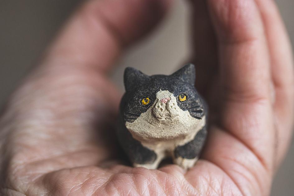 ぼんちゃん【猫_961】 | 9枚目