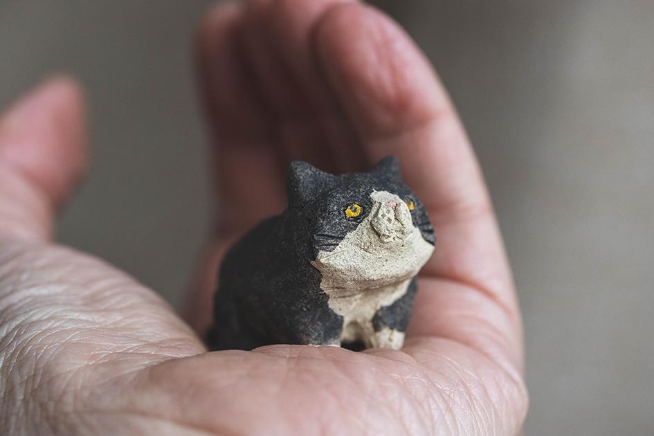 ぼんちゃん【猫_961】 | 10枚目