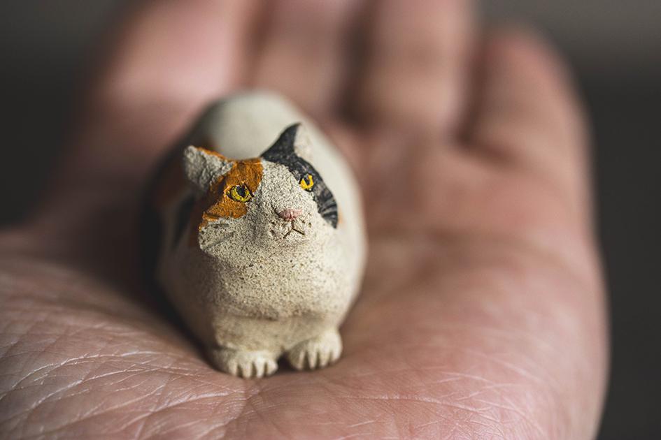 みつめる三毛【猫_958】 | 2枚目