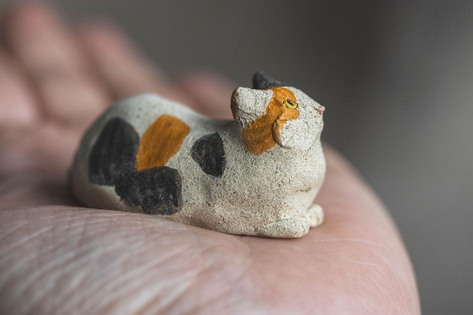 みつめる三毛【猫_958】 | 3枚目