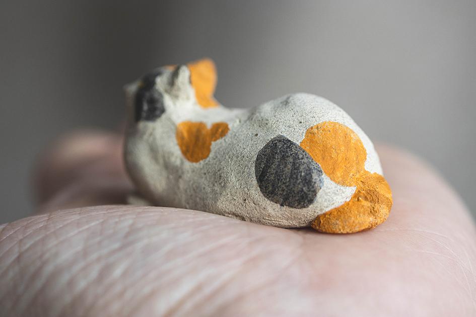 みつめる三毛【猫_958】 | 5枚目