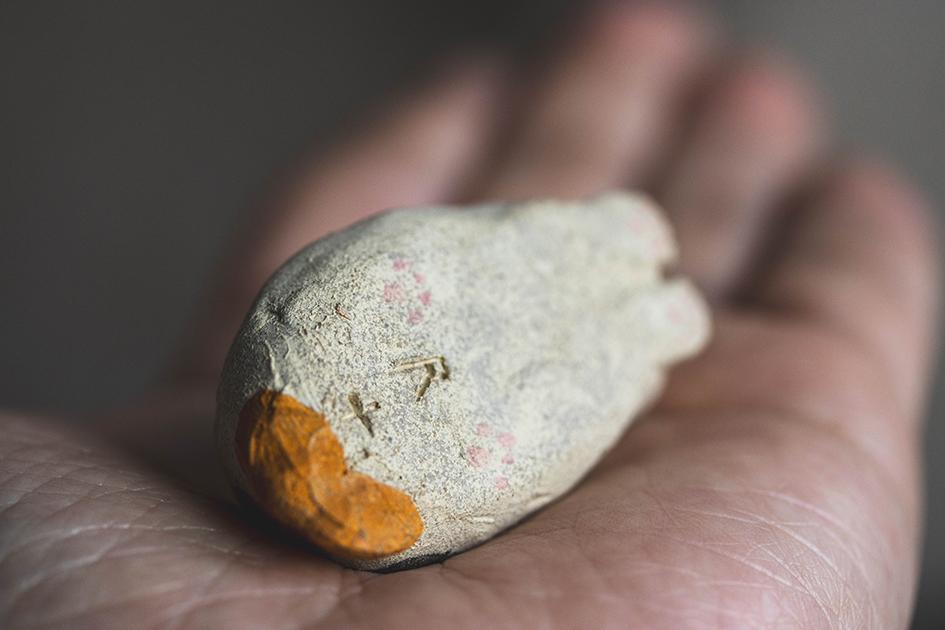 みつめる三毛【猫_958】 | 7枚目