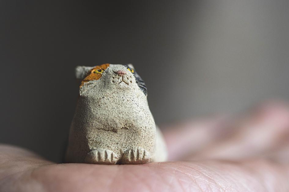 みつめる三毛【猫_958】 | 8枚目