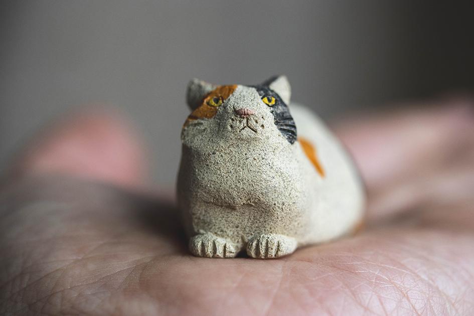 みつめる三毛【猫_958】 | 10枚目